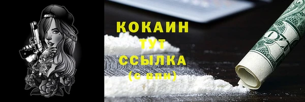твердый Елизово