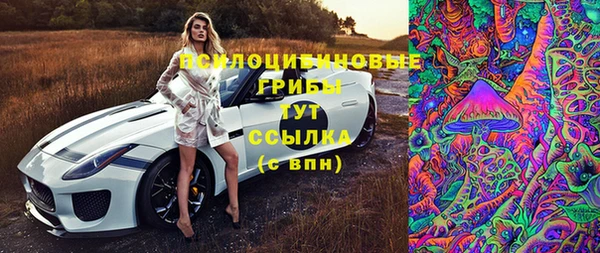 экстази Ельня