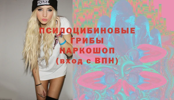 твердый Елизово