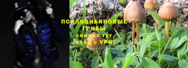 твердый Елизово