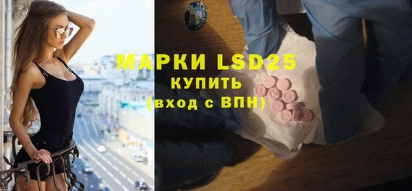 экстази Ельня