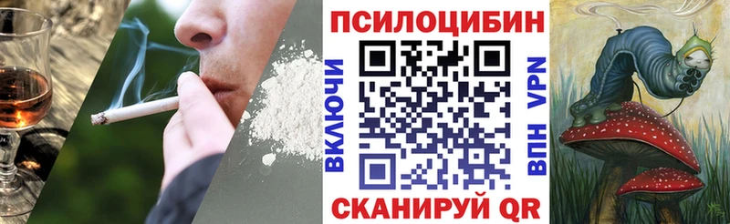 Галлюциногенные грибы мухоморы  наркошоп  Нурлат 